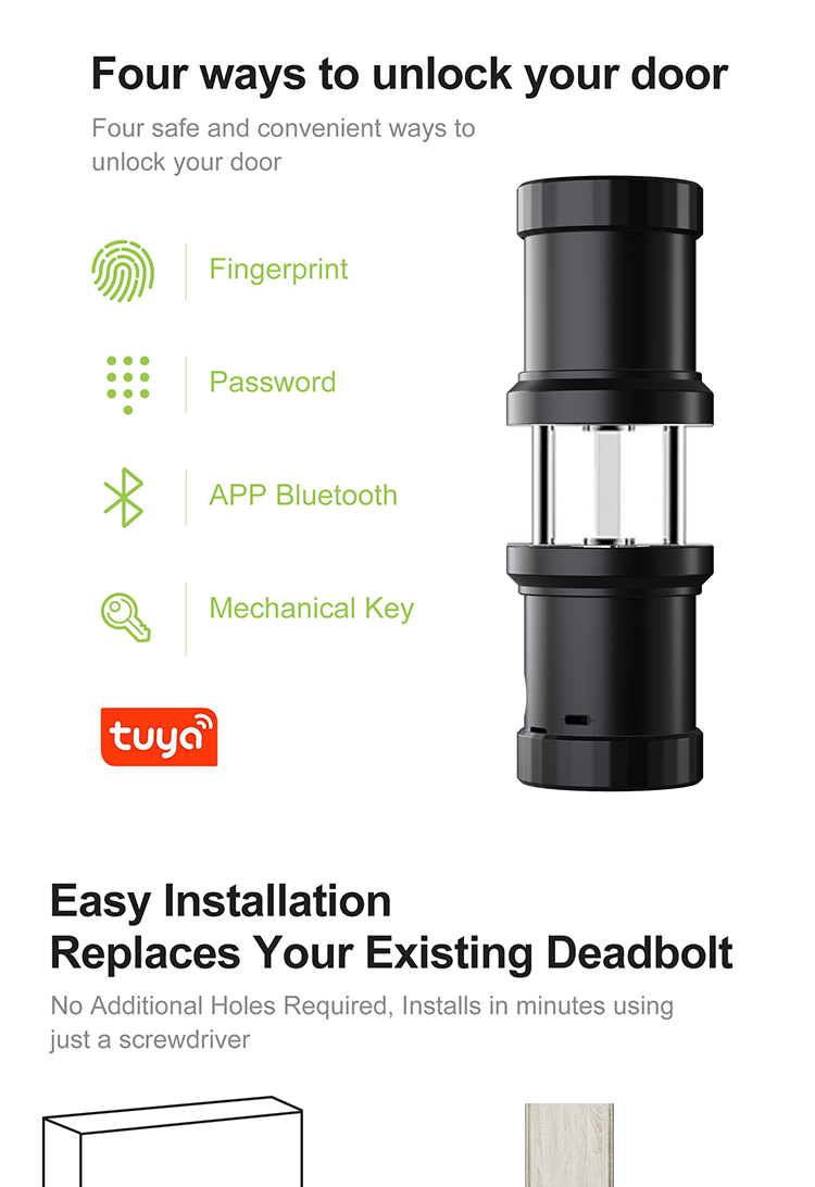 Tuya Wifi APP smart locks  Indoor wooden door graffiti office apartment smart spherical lock fingerprint lock