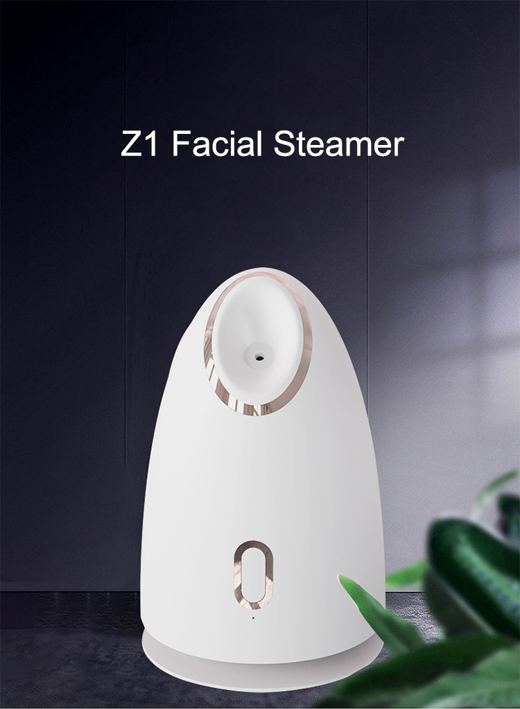 Z1 Hot sell facial steamer