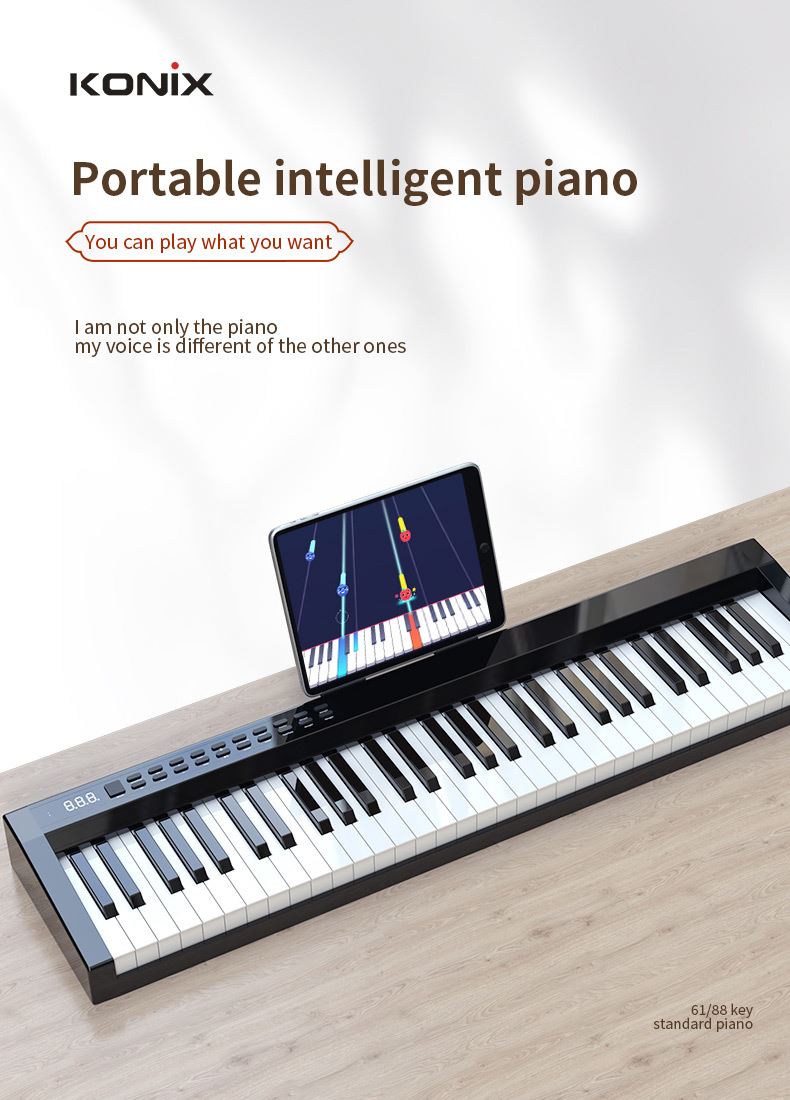 Elegant multifunction 61 keys travel Electronic Piano PH61C