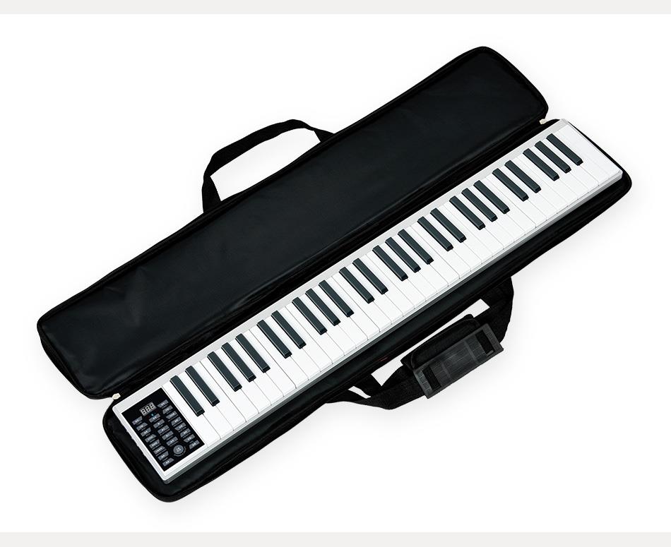 NEW design electrical piano with computer and app function and beautiful appearance PZ61M