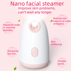 Z7 NANO facial steamer