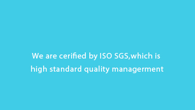 ISO SGS CE Certification