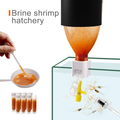UUIDEAR diy brine shrimp hatchery incubator kit