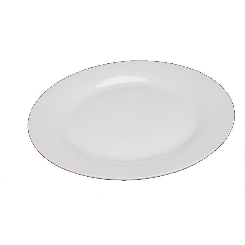 Customized 3D Printed Blank White Ceramic Dinner Plate