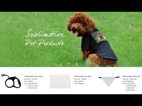 New Custom Sublimation Blank Printable Pet Leash With 2M/3M/5M Available